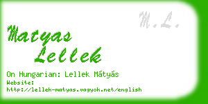 matyas lellek business card
